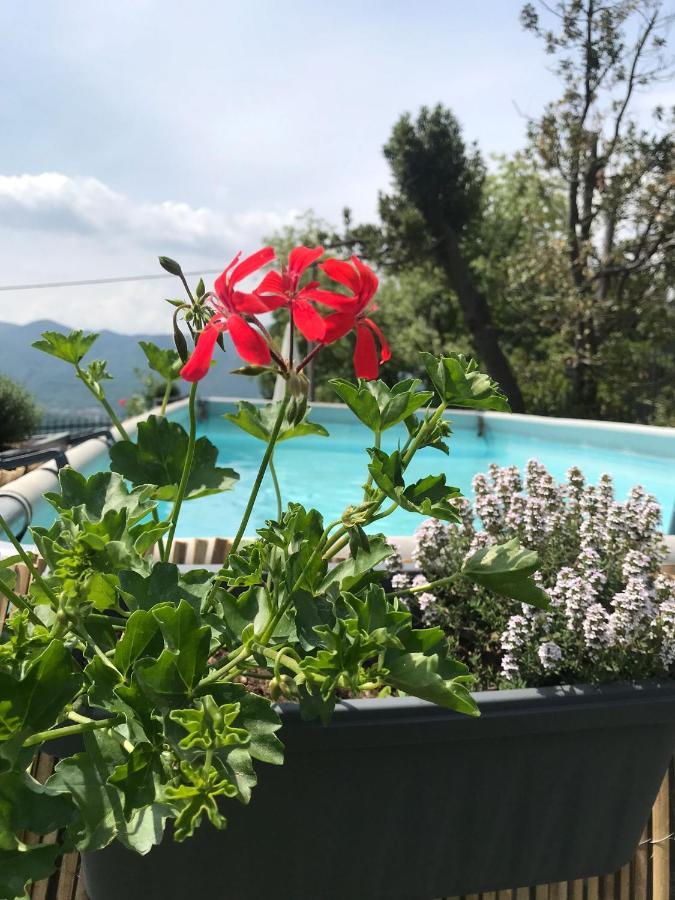 Villa Le Vignole Ameno Zewnętrze zdjęcie